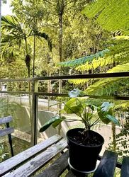 The Foresta @ Mount Faber (D4), Condominium #594585481